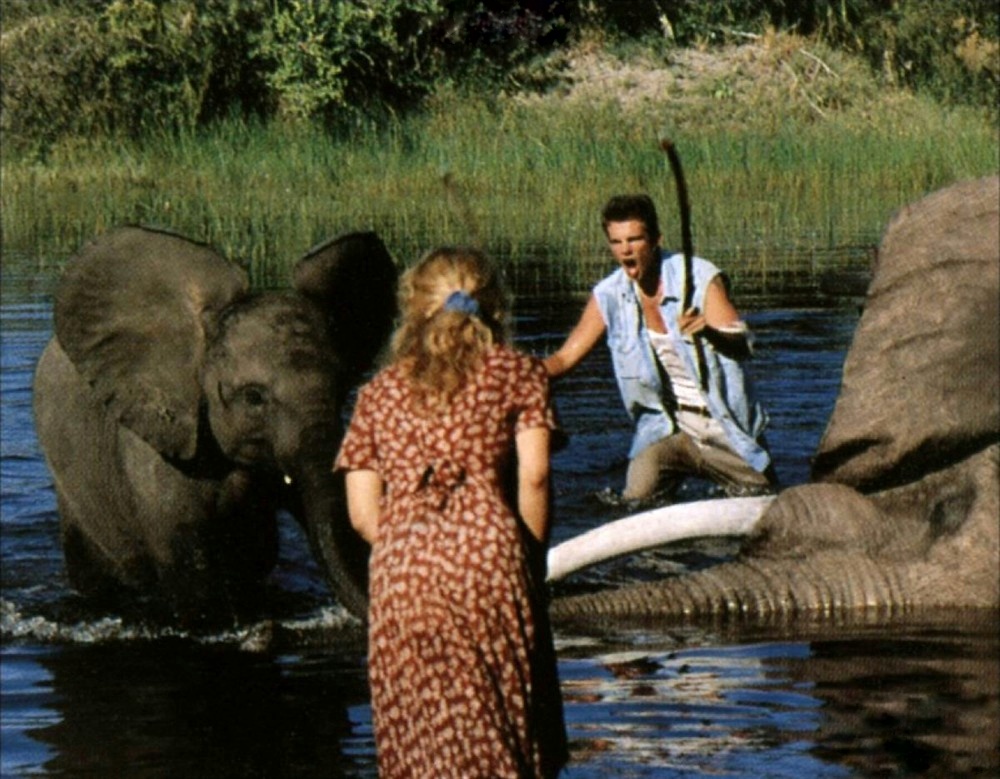 非洲历险记剧照的剧照