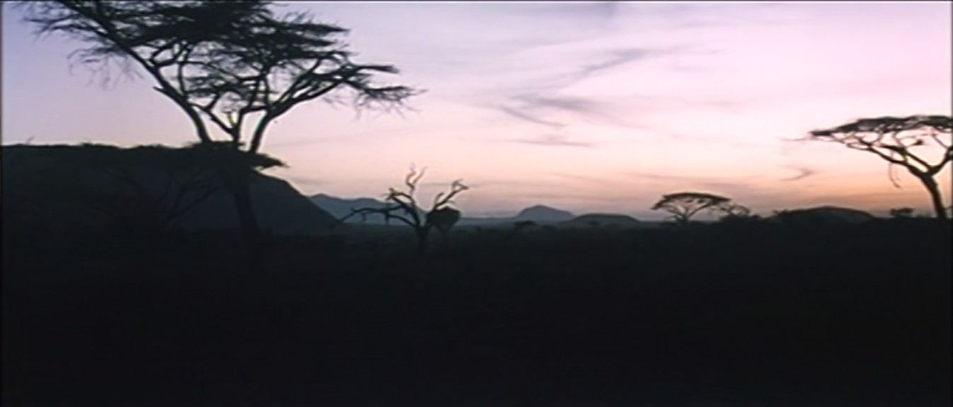 非洲历险记剧照的剧照