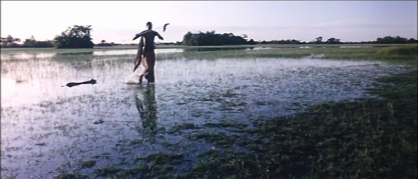 非洲历险记剧照的剧照