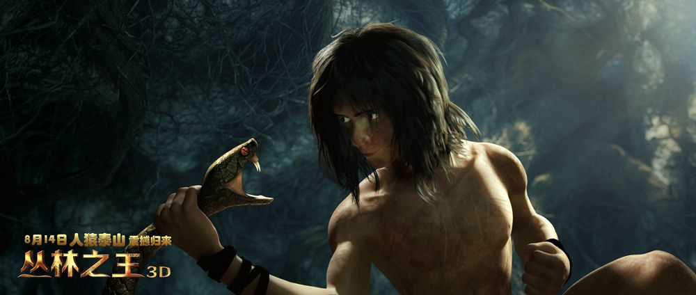 丛林之王剧照的剧照