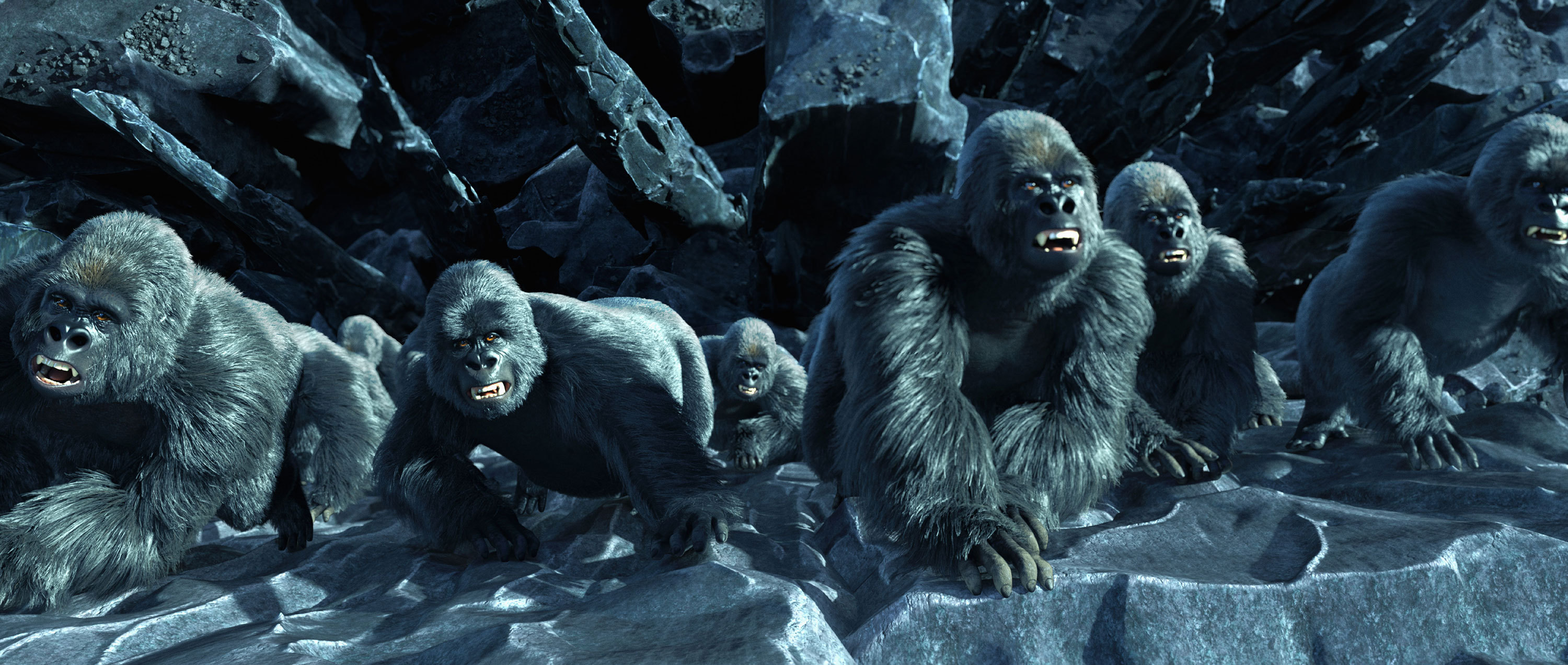 丛林之王剧照的剧照