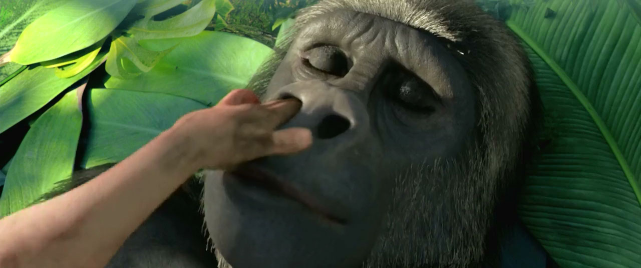 丛林之王剧照的剧照