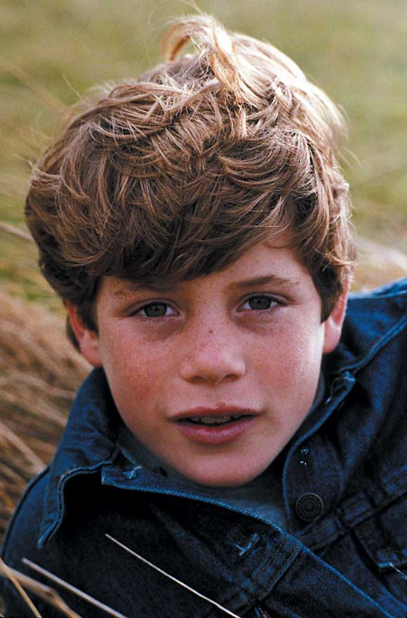 七宝奇谋剧照的剧照