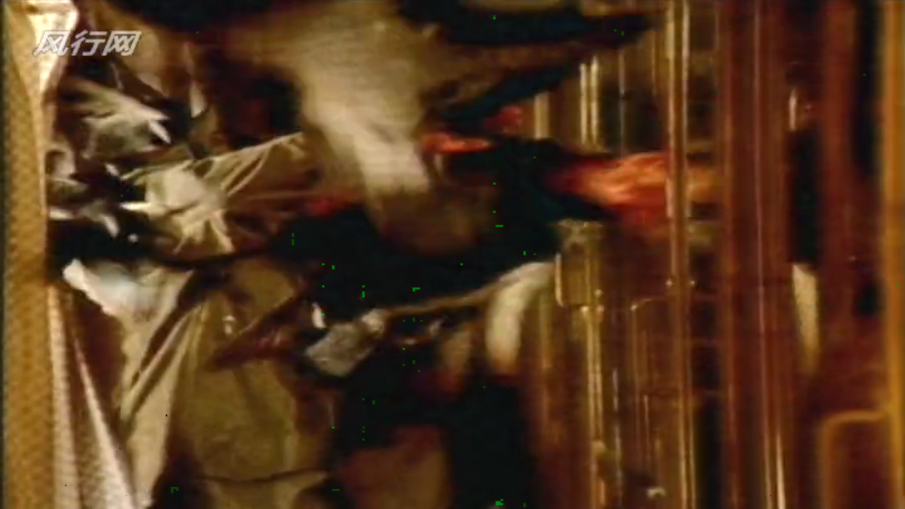 惊爆食人鸟剧照的剧照