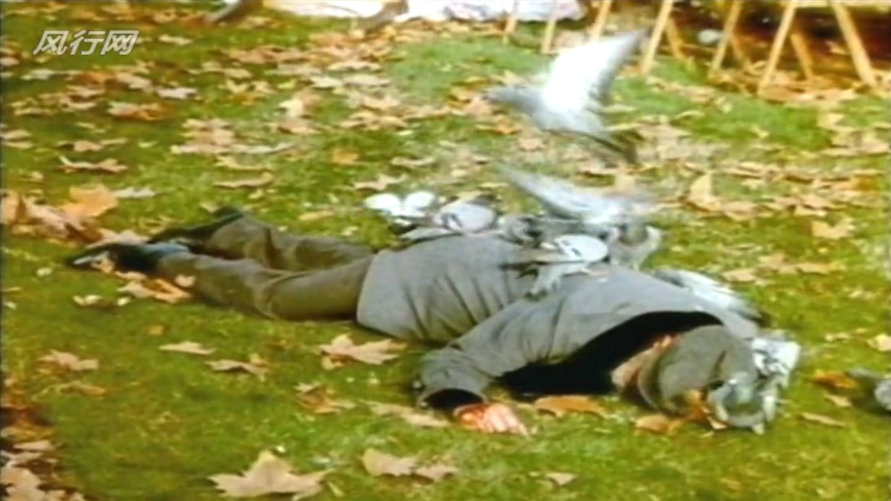 惊爆食人鸟剧照的剧照