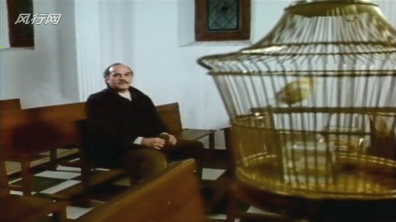 惊爆食人鸟剧照的剧照