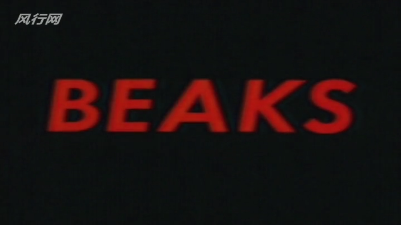 惊爆食人鸟剧照的剧照