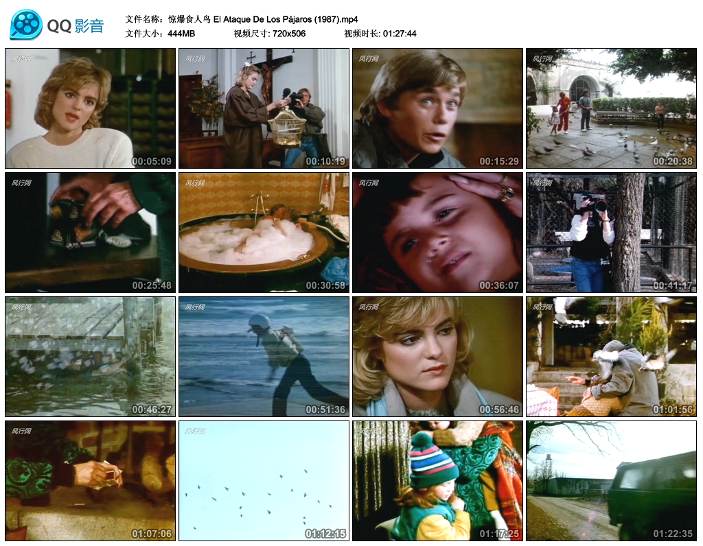 惊爆食人鸟剧照的剧照