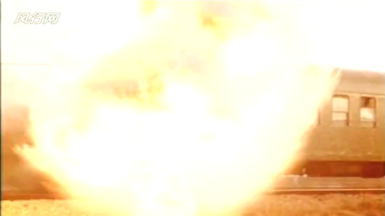 惊爆食人鸟剧照的剧照