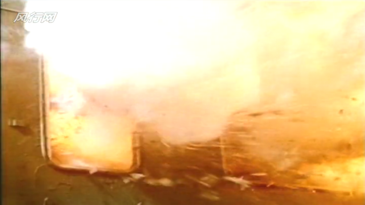 惊爆食人鸟剧照的剧照