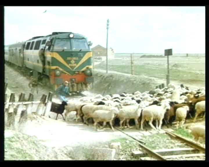 惊爆食人鸟剧照的剧照