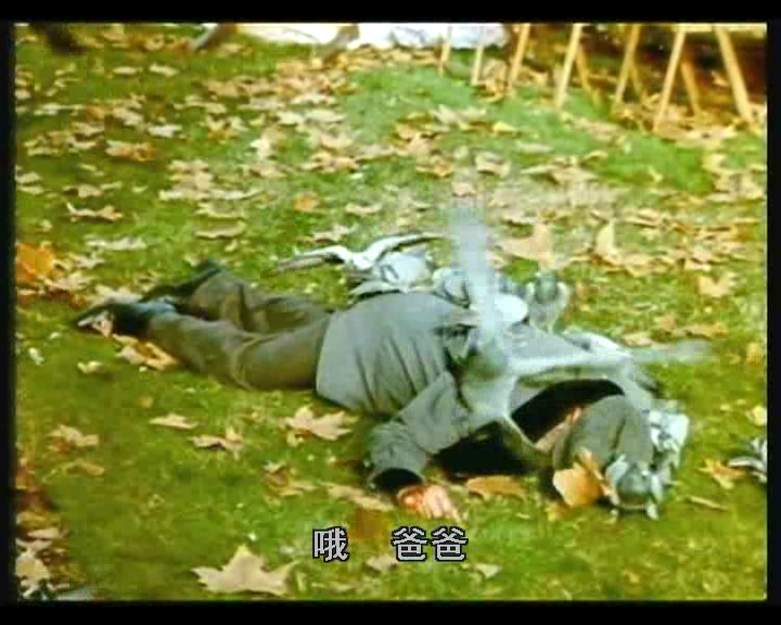 惊爆食人鸟剧照的剧照