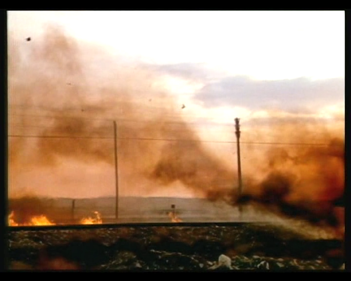 惊爆食人鸟剧照的剧照