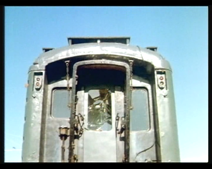 惊爆食人鸟剧照的剧照