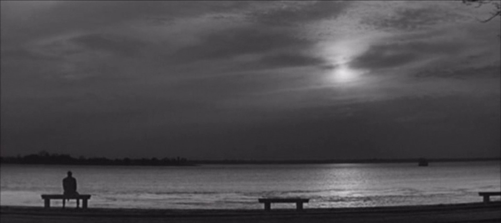 琴声如诉剧照的剧照