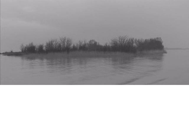 琴声如诉剧照的剧照