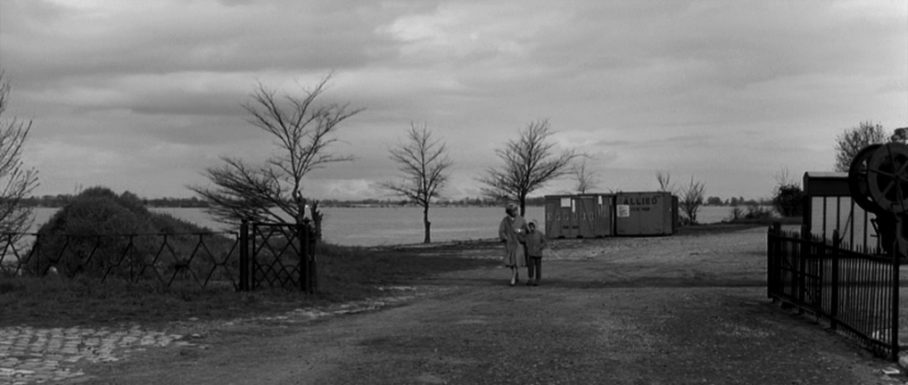 琴声如诉剧照的剧照