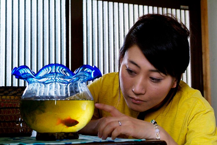 酒井家的幸福剧照的剧照