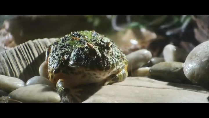 单身男女剧照的剧照