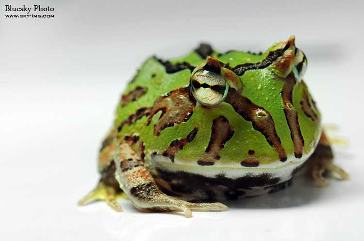 单身男女剧照的剧照