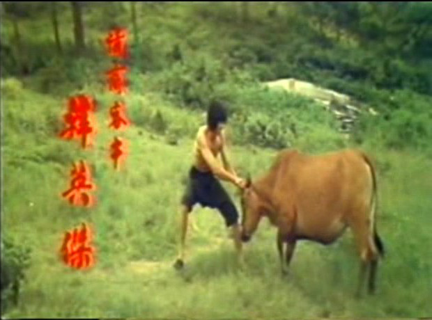 鐵牛剧照的剧照