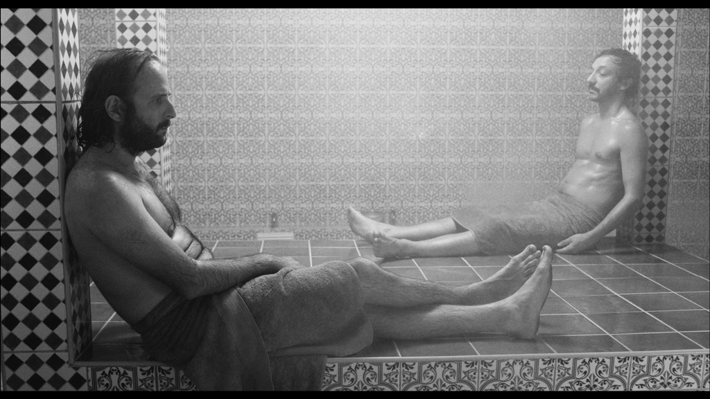 蜥蜴剧照的剧照