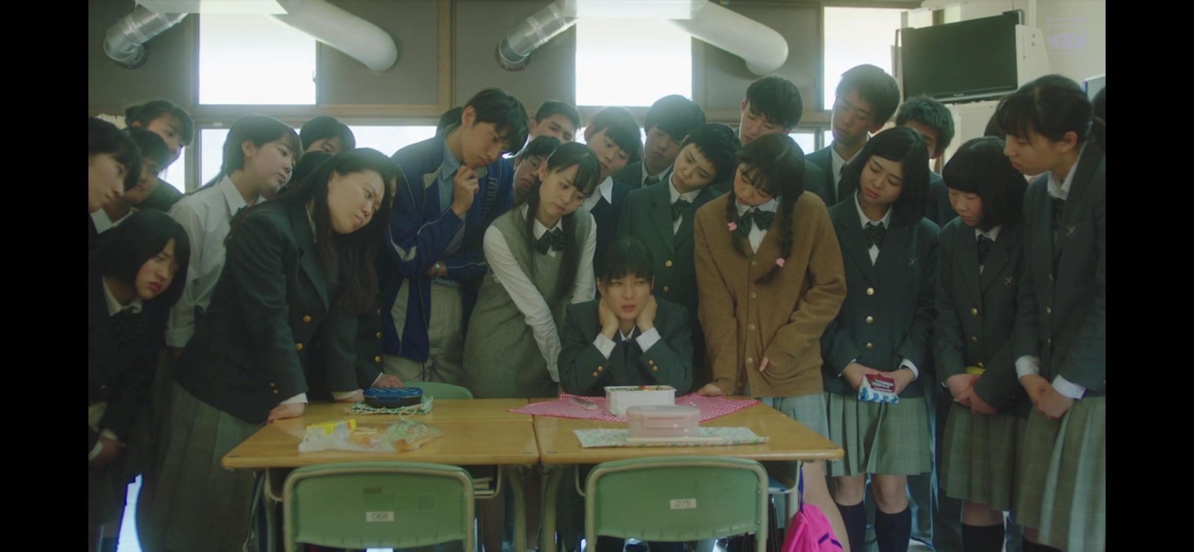 今天也是招人嫌的便当剧照的剧照