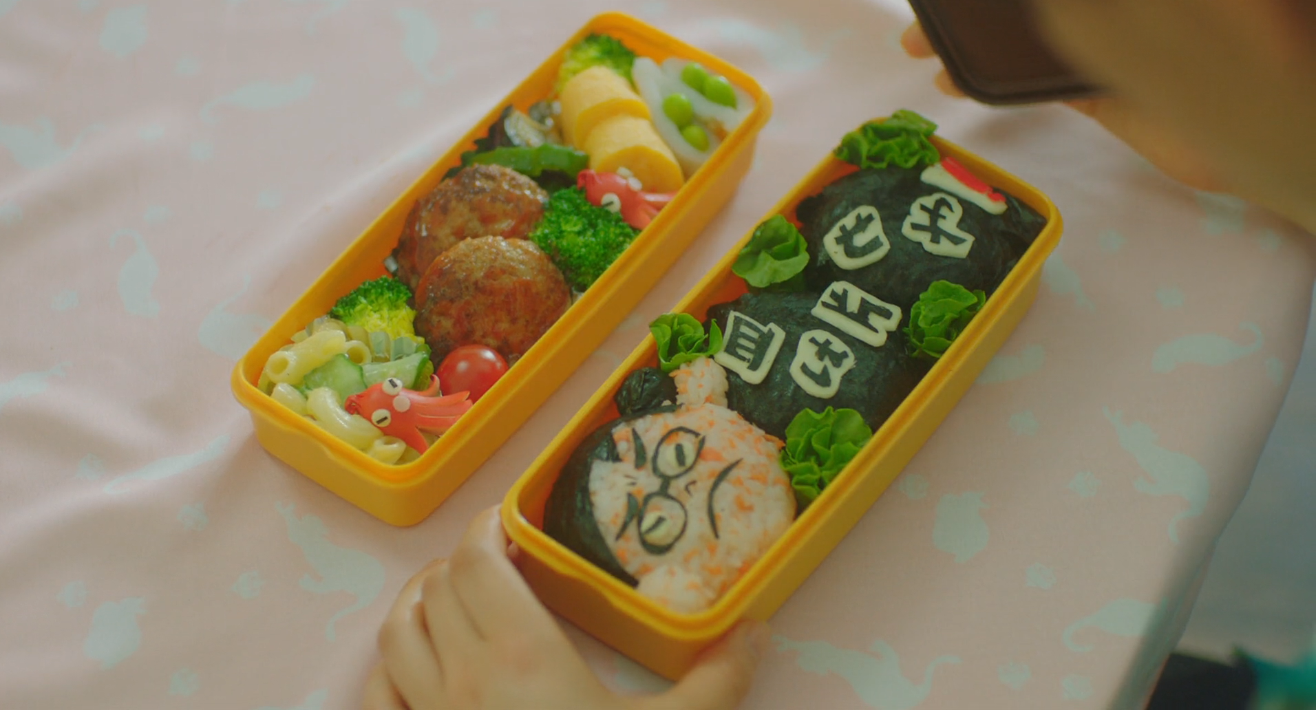 今天也是招人嫌的便当剧照的剧照