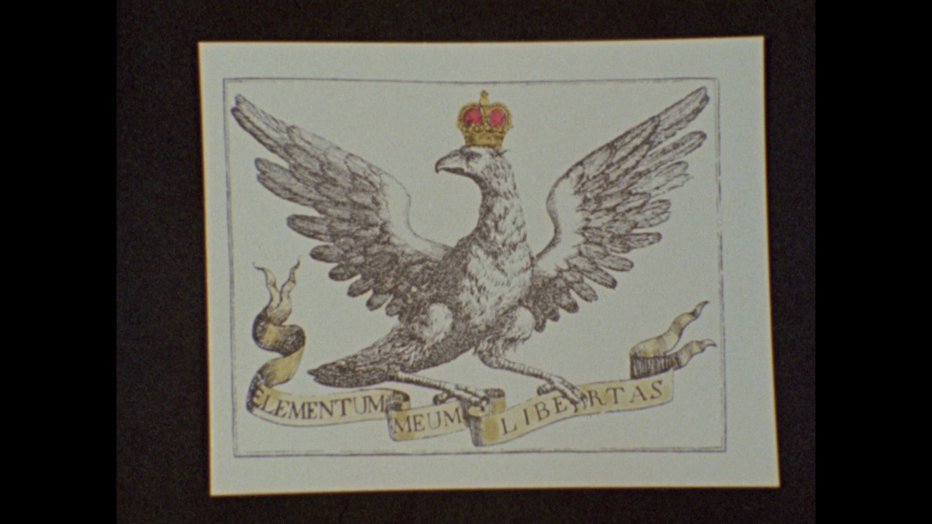 在天堂里没有啤酒吗？剧照的剧照