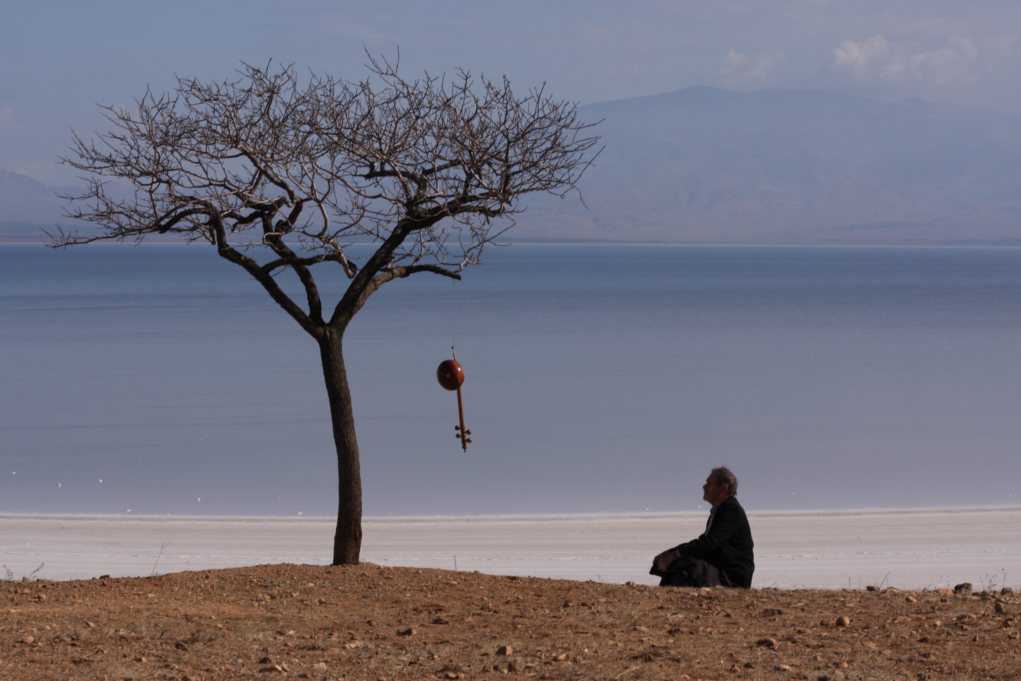 白草地剧照的剧照