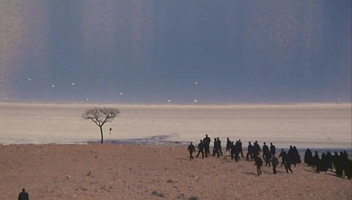 白草地剧照的剧照