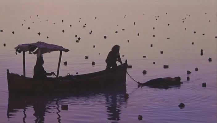 白草地剧照的剧照