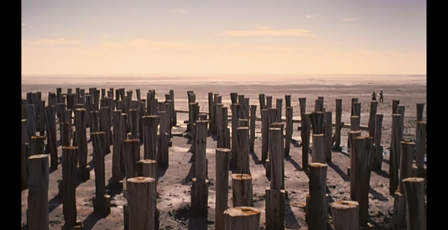 白草地剧照的剧照