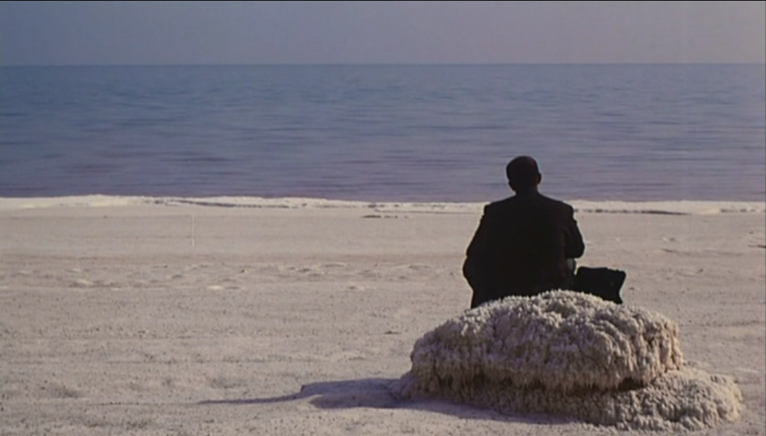 白草地剧照的剧照