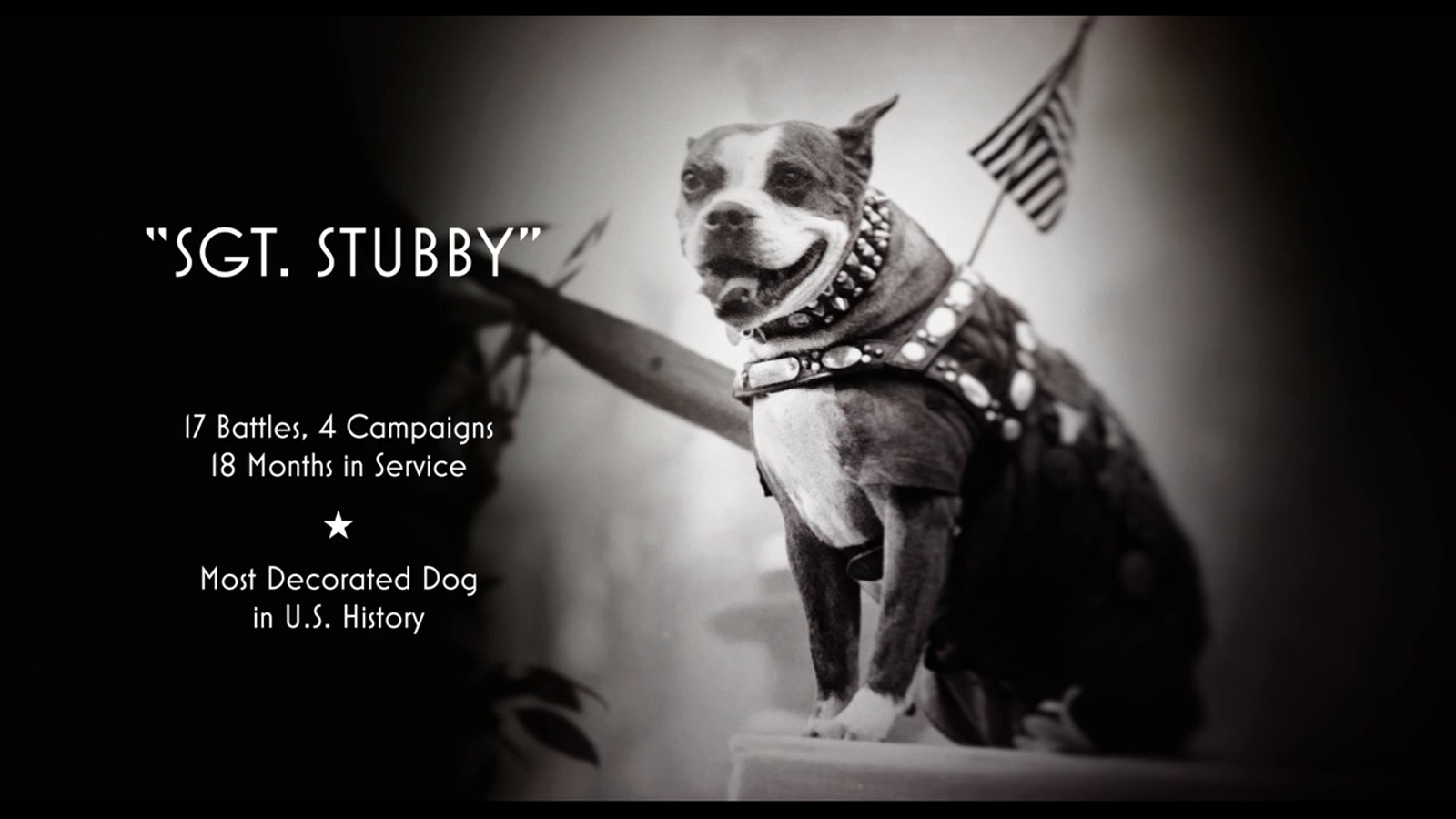 斯塔比中士：一个美国英雄剧照的剧照