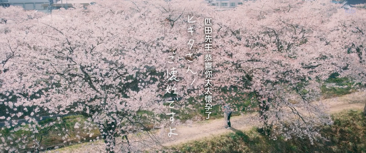 匹田先生，恭喜你太太怀孕了剧照的剧照