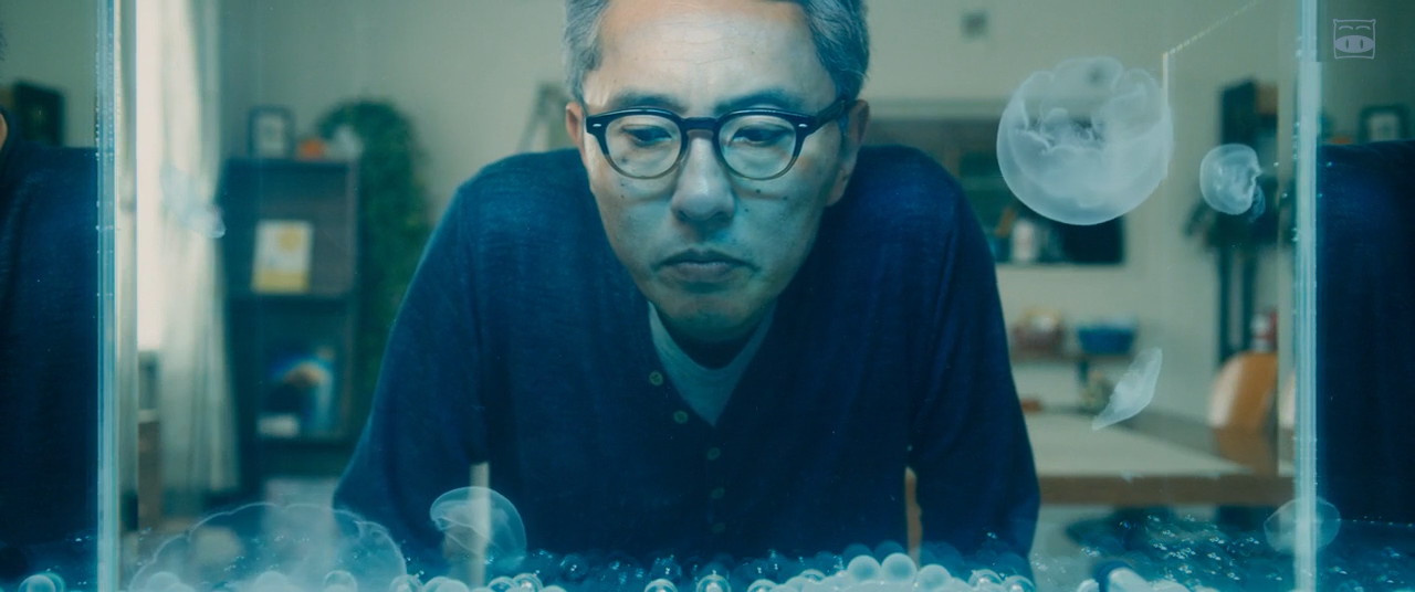 匹田先生，恭喜你太太怀孕了剧照的剧照