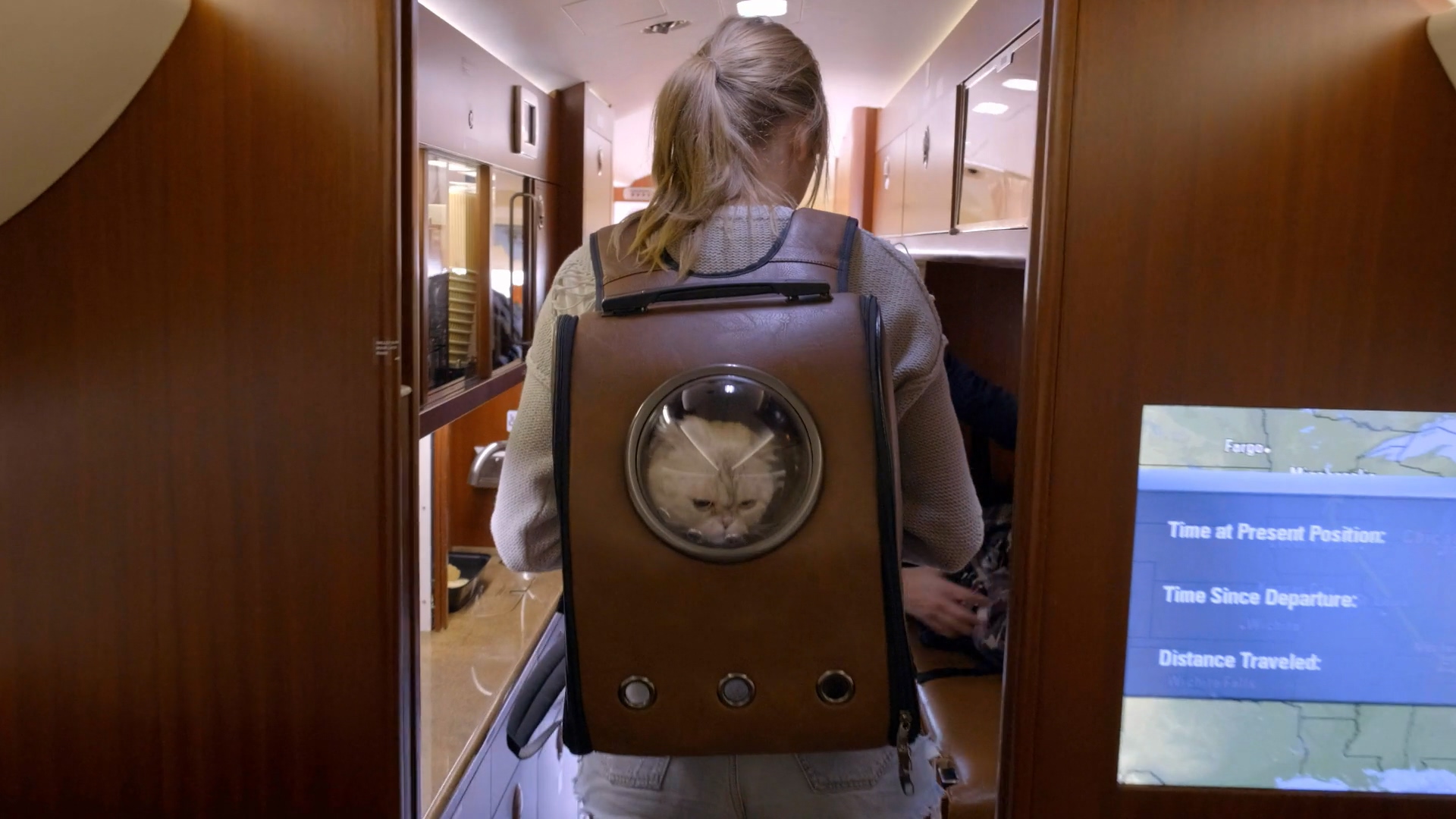 美利坚女士剧照的剧照