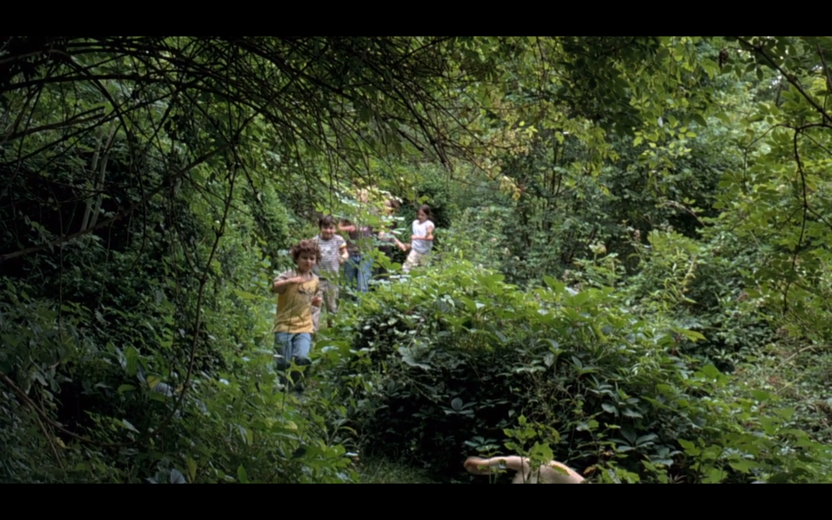 夏日时光剧照的剧照