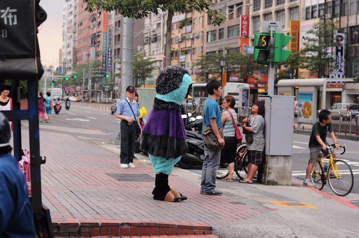 什么鸟日子剧照的剧照