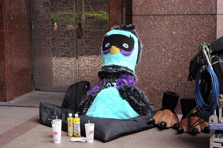 什么鸟日子剧照的剧照