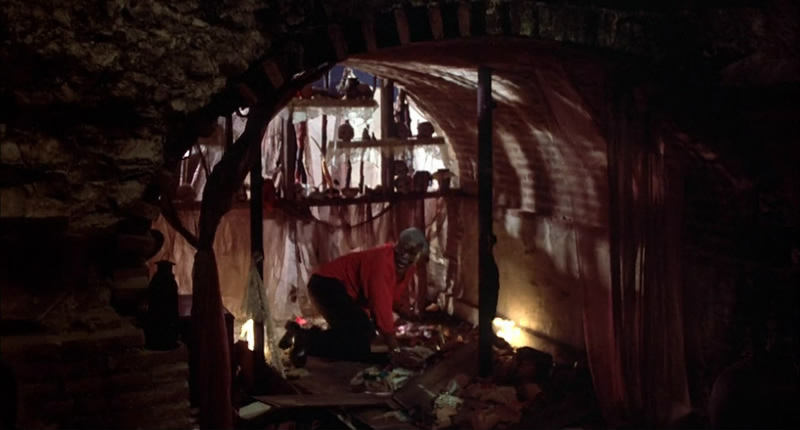 蛇与彩虹剧照的剧照