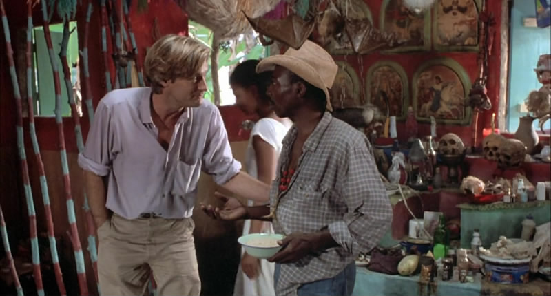 蛇与彩虹剧照的剧照