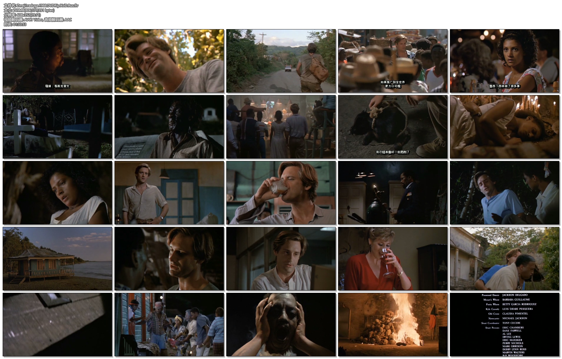 蛇与彩虹剧照的剧照