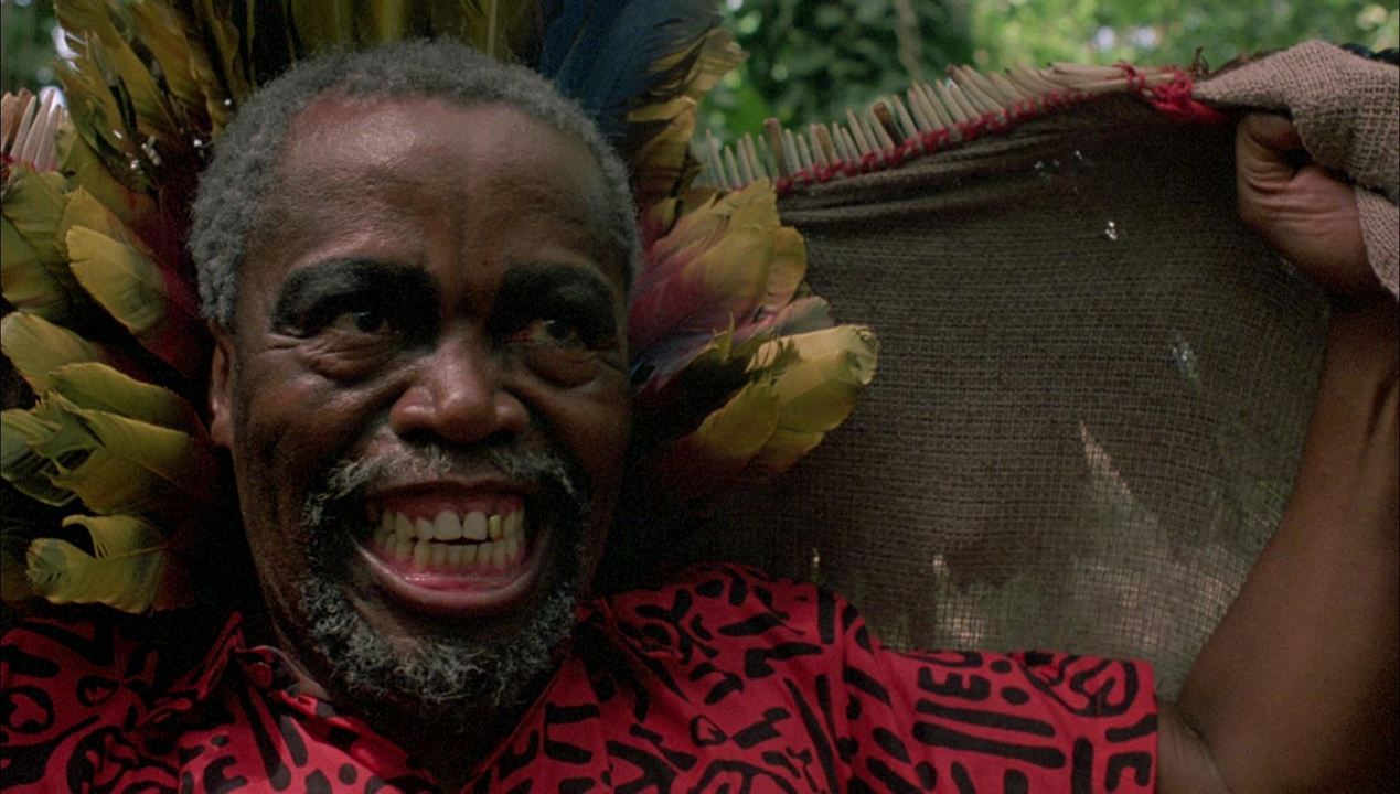 蛇与彩虹剧照的剧照