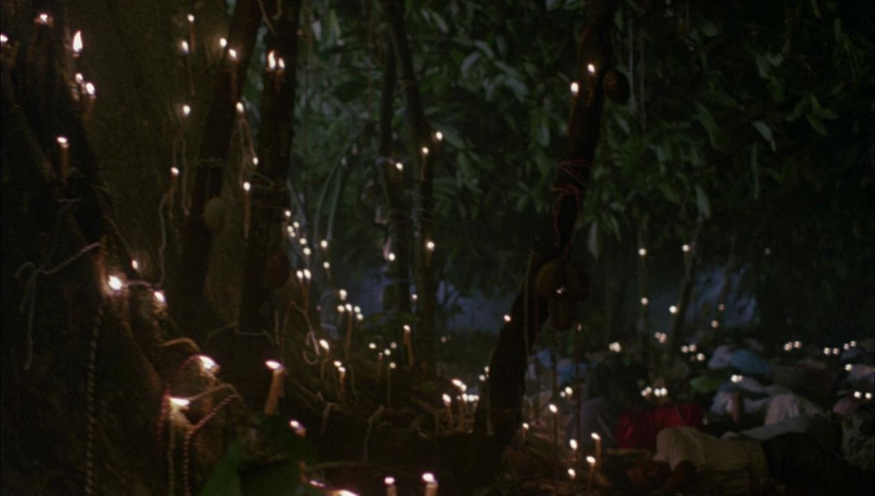 蛇与彩虹剧照的剧照