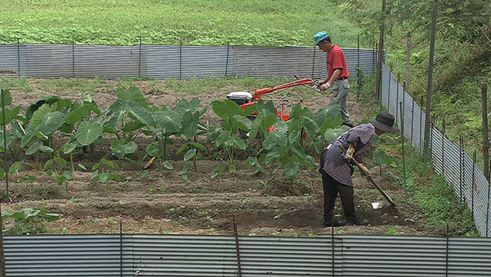两个人的桃花源剧照的剧照