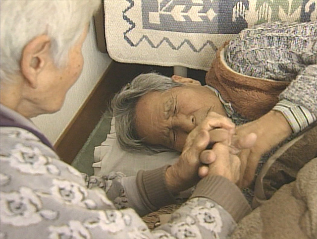 两个人的桃花源剧照的剧照