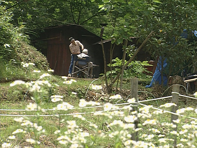 两个人的桃花源剧照的剧照