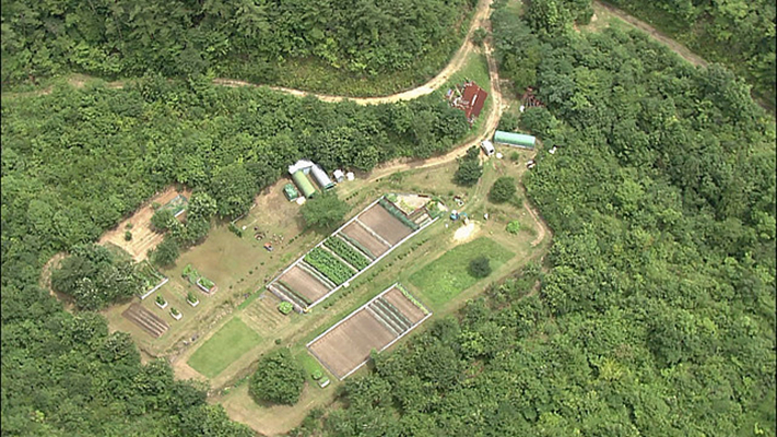 两个人的桃花源剧照的剧照